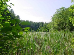 Dorrs Pond